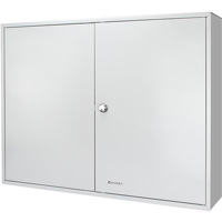 

Barska 320 Position Hook-Style Key Lock Box with White Tags, Gray