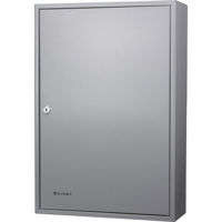 

Barska 150 Position Key Cabinet with Key Lock, Gray