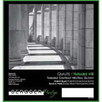 

Bergger VC Variable Contrast NB Fiber Based Black & White Enlarging Paper, 16x20", 25 Sheets, Neutral Glossy Surface