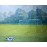 

Belle Drape Scenic Series, 10x12' Painted Muslin Background, Style #951. Color: Soccer
