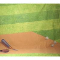 

Belle Drape Scenic Series, 10x12' Painted Muslin Background, Style #960. Color: Baseball