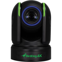 

BirdDog P4K 14.2MP 4K Full NDI PTZ Camera with 1" Sony Sensor, Black