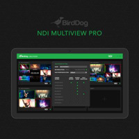 

BirdDog NDI Multiview Pro Software, 4x4 Outputs, Download