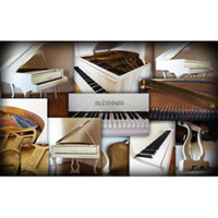 

Best Service Galaxy II German Baby Grand Piano, Download