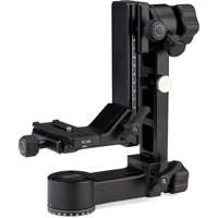 

Benro GH3 Aluminum Gimbal Head with PL100 Plate