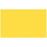 

Adorama Seamless Background Paper, 53" wide x 12 yards, Daf-Fo-Dil, #50