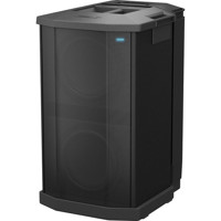 

Bose F1 1000W Powered Subwoofer with Built-in Stand, 120V US