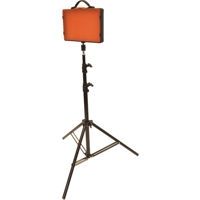 

Bescor Single LED220 Studio Light Kit