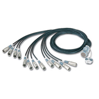 

Canare 12 Channel 12S1N2 Fantail, 1.5m