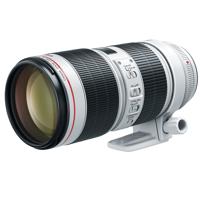 

Canon EF 70-200mm f/2.8L IS III USM Lens