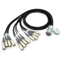 

Canare 8 Channel 8S1N2 Fantail, 1.5m