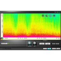 

CEDAR Audio CP Retouch, Removes Unwanted Noise, Download