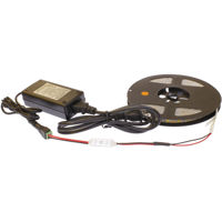 

Cavision 16.4' Waterproof Tungsten LED Strip with Mini Controller and AC to DC (12V 5A) Power Adapter