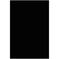 

Cavision 4x5.65" 0.6x Soft Mist Black Glass Filters, 4mm Thick