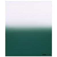 

Cokin P131 E2 - Graduated Emerald Filter - Hard Edge, 3-Stops, P-Series