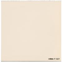 

Cokin P027 81B Warm, Light Balancing Color Conversion Warming Filter, Fits Cokin P Series Holder