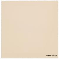 

Cokin P028 81C Warm, Light Balancing Color Conversion Warming Filter, Fits Cokin P Series Holder
