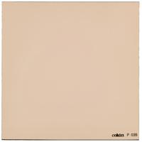 

Cokin P035 81D Warm, Light Balancing Color Conversion Warming Filter, Fits Cokin P Series Holder