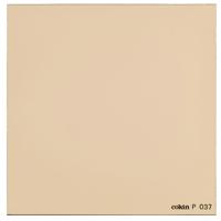 

Cokin P037 81EF Warm, Light Balancing Color Conversion Warming Filter, Fits Cokin P Series Holder