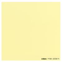 

Cokin P729 Yellow Color Correction Filter CC50Y, P-Series