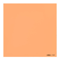 

Cokin Z30 85B Warm Color Conversion Filter - 4x4"/100x100mm Z-Pro Series
