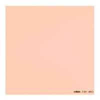 

Cokin Z31 85C Warm Color Conversion Filter - 4x4"/100x100mm Z-Pro Series