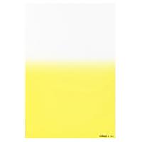 

Cokin Z660 Y1 - Graduated Fluorescent Yellow Filter - Hard Edge, 1/3-Stop, Z-Pro Series