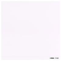 

Cokin Z850 Z850 Diffuser 3 Filter - Z-Pro Series - 4x4"/100x100mm Z-Pro Series