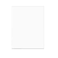 

ClearBags 17-7/16x22-1/4" Crystal Clear, Protective Polypropylene Storage Bags, No Flap, 100 Bags