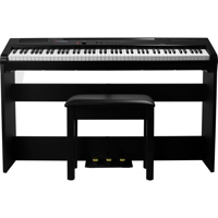 

CME Artesia Harmony 88 Weighted Key Digital Piano - Black with Matching Furniture Stand and Three Pedal Board