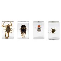 

Celestron 3D Bug Specimen Kit #4