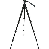 

Celestron Regal Premium Tripod, 8.8lbs Capacity, 68.75" Maximum Height, Two-Way Fluid Pan Head
