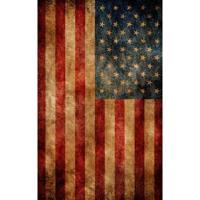 

Click Props American Flag Backdrop, Medium