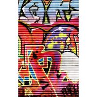 

Click Props Shutter Graffiti 2 Backdrop, Medium