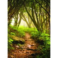 

Click Props Forest Path Backdrop, Medium