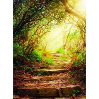 

Click Props Forest Steps Backdrop, Medium
