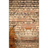 

Click Props Old Grungy Brick Wall Backdrop, Medium