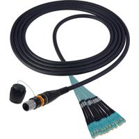 

Camplex 10' MTP/SC 0M3 Multimode 50/12 Fiber Micro Dist Plenum OM3 Breakout Cable