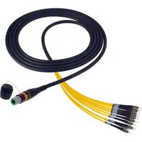 

Camplex 10' opticalCON MTP to ST Singlemode 12 Channel Breakout Cable