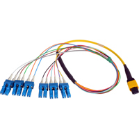 

Camplex 18" MTP Elite APC Male to 12 LC UPC Internal Singlemode Fiber Breakout Cable, Yellow
