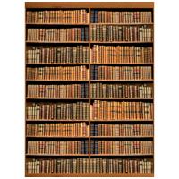 

Click Props Bookshelf Backdrop, Large