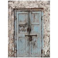 

Click Props Wooden Door Blue Backdrop (Doors & Gates), Large