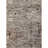 

Click Props Old Grungy Brick Wall Backdrop, Large