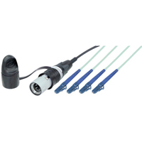

Camplex 3' opticalCON Lite QUAD to Four LC Multimode Fiber Optic Tactical Patch Cable