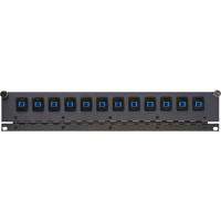 

Camplex Tailgater Series 2RU Hinged Feedthru Fiber Patch Panel, 12 Singlemode SC