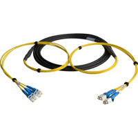 

Camplex 10' 4-Channel LC Singlemode Fiber Optic Tactical Snake Cable