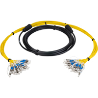 

Camplex 100' 24-Channel SC Singlemode Tactical Fiber Optical Snake Cable