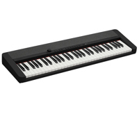 

Casio Casiotone CT-S1 61-Key Piano Style Portable Keyboard, Black