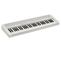 Casio Casiotone CT-S1 61-Key Piano Style Portable Keyboard, White
