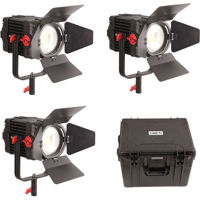 

Came-TV Boltzen 150W Fresnel Focusable LED Daylight 3-Light Kit